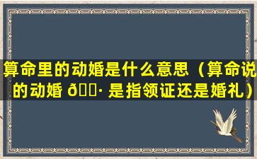 算命里的动婚是什么意思（算命说的动婚 🕷 是指领证还是婚礼）